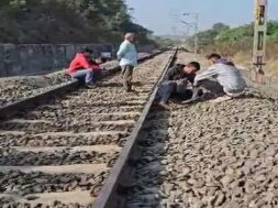 Leopard dies after being hit by train