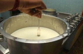 MILK TAST