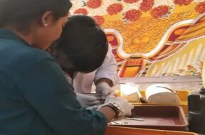 bird injured by kite