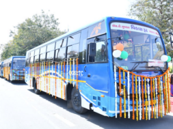 bus
