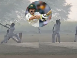 cricket