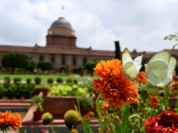 rastpati bhavan
