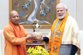 yogi