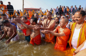 yogi.1