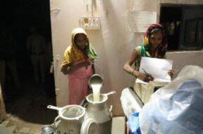Eco village-2