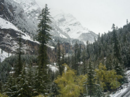 HIMACHAL PRADESH