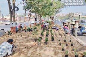 Science city road, Beautification