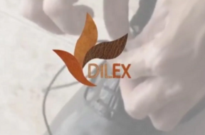 dilex