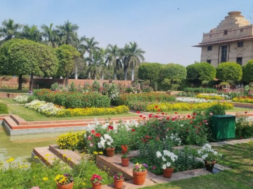 garden