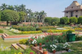 garden