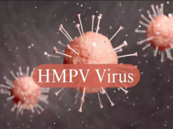 hmpv virus