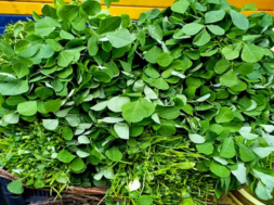 methi
