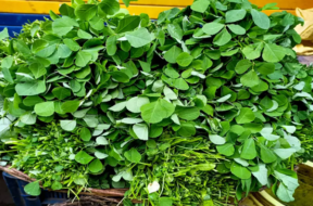 methi