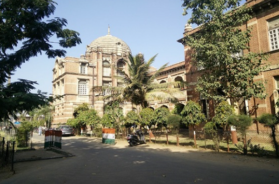 msu university