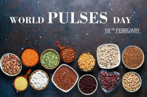 pulses day