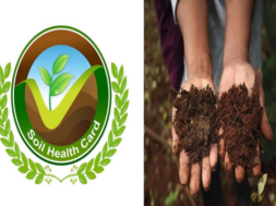 soil health card