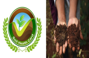 soil health card