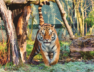 tiger