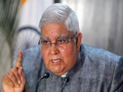 vice president