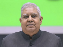 vise president