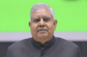 vise president