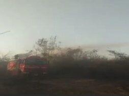 FIRE, Porbandar forest