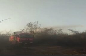 FIRE, Porbandar forest