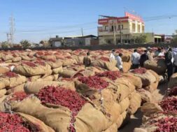 Gondal market yard,
