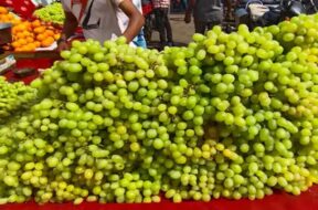 Grapes