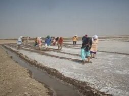 Kharaghoda, solt
