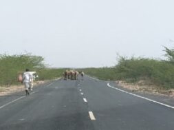 Kutch rain