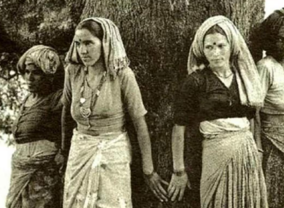26 માર્ચ 1974ના દિવસે શરૂ થયું હતું ‘ચિપકો’ આંદોલન, આજે પણ સચવાયેલા છે વૃક્ષો