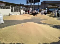 disa market yard, Rajgara income