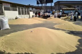 disa market yard, Rajgara income