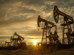 oil