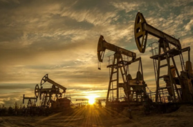 oil