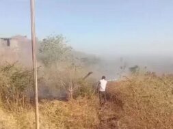 palitana, fire