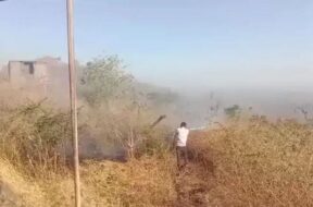 palitana, fire