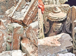pavagdh