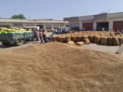 sayala yard