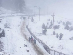 snow
