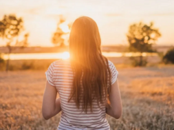 sun