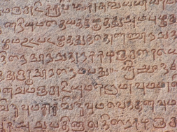 tamil