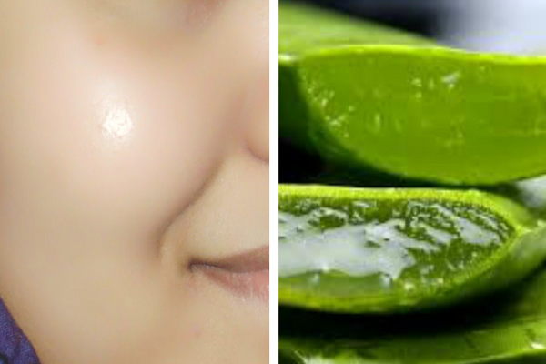 એલોવેરાથી મેળવો નરમ અને ચમકતી ત્વચા