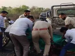 Amreli.lion death