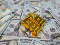 DOLLERS