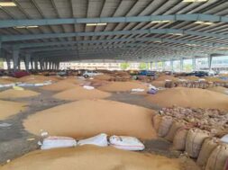 Gondal yard