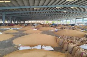 Gondal yard
