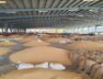 Gondal yard