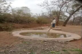 Water kund, animals